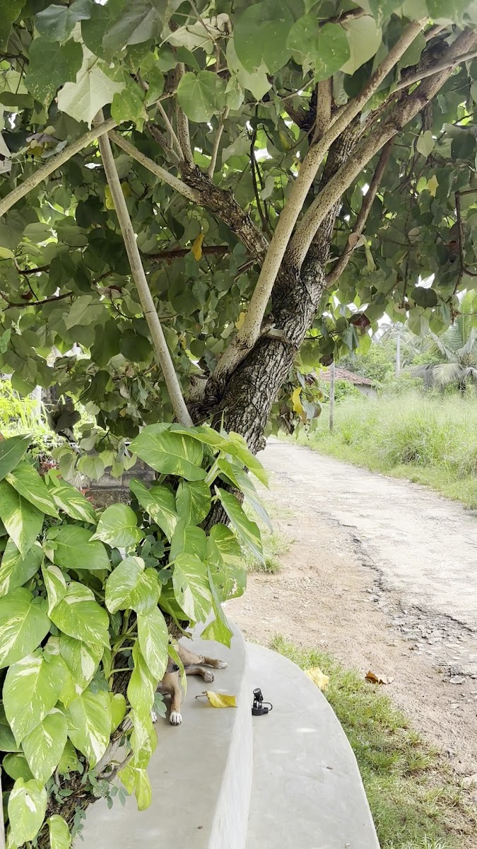 Menu Break Point Restaurant-4